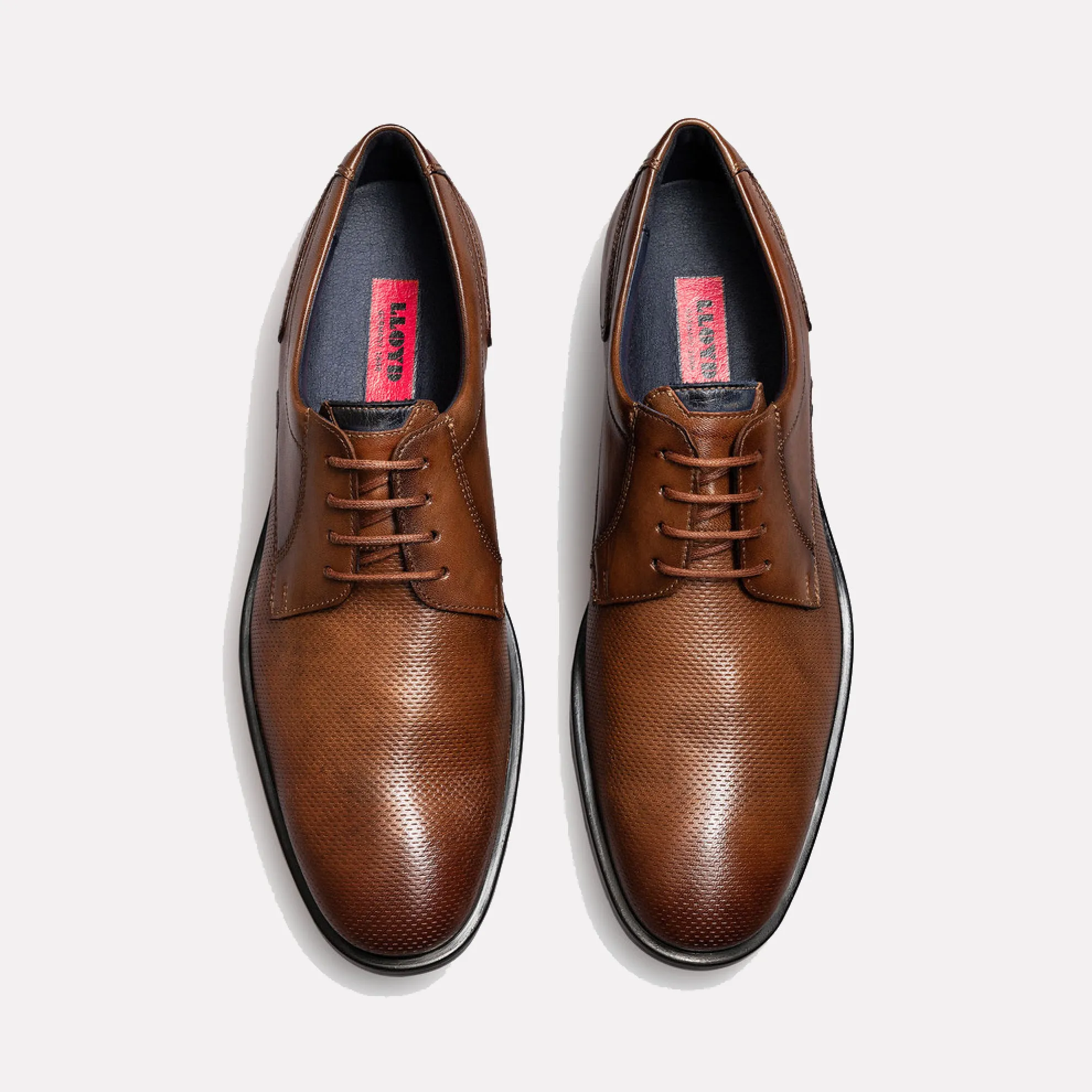 LLOYD LANCE Lace-up Smooth and Embossed Leather Derby Shoe / Brown