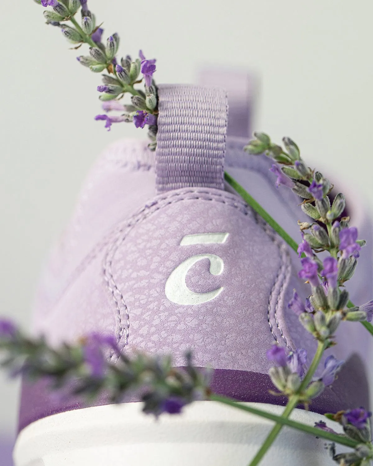 Women's Classic - Lavender